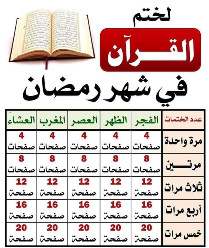 hussein gad (@hussein33795418) on Twitter photo 