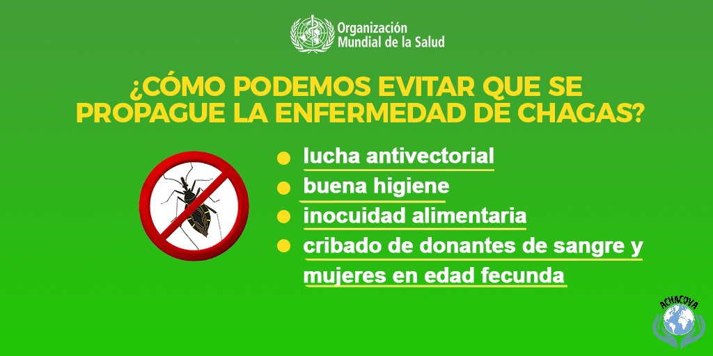 achacova's tweet photo. No hay vacuna contra la enfermedad de Chagas. El control vectorial ha sido el método más útil para prevenir la enfermedad de Chagas en América Latina. https://t.co/SzwOMghPmu