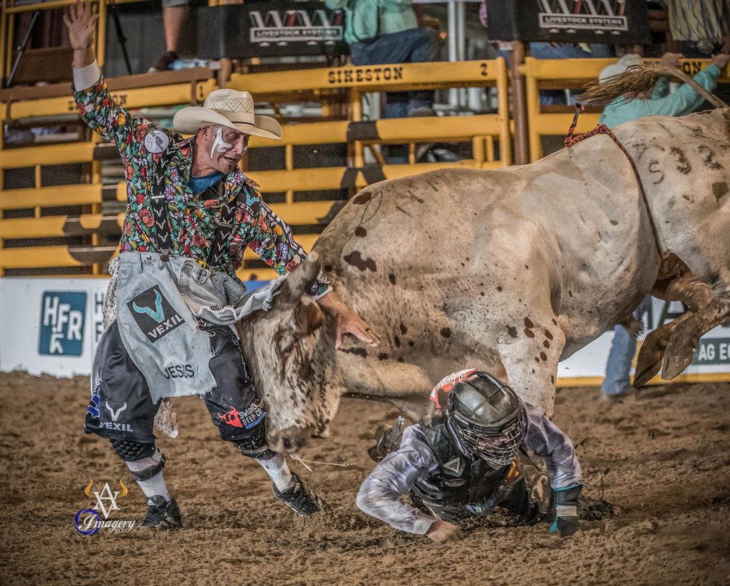 AvidVisualImage's tweet photo. โThe greatest risk to man is not that he aims too high and misses, but that he aims too low and hits.โ
โ Michaelangelo
#rodeo #bullfighter #bullriding #canon #sportsphotography #westernlifestylephotography #rodeophotography #cowboyprotection #photojournalism #bulls #travel #bull https://t.co/pAsZR7TPnn