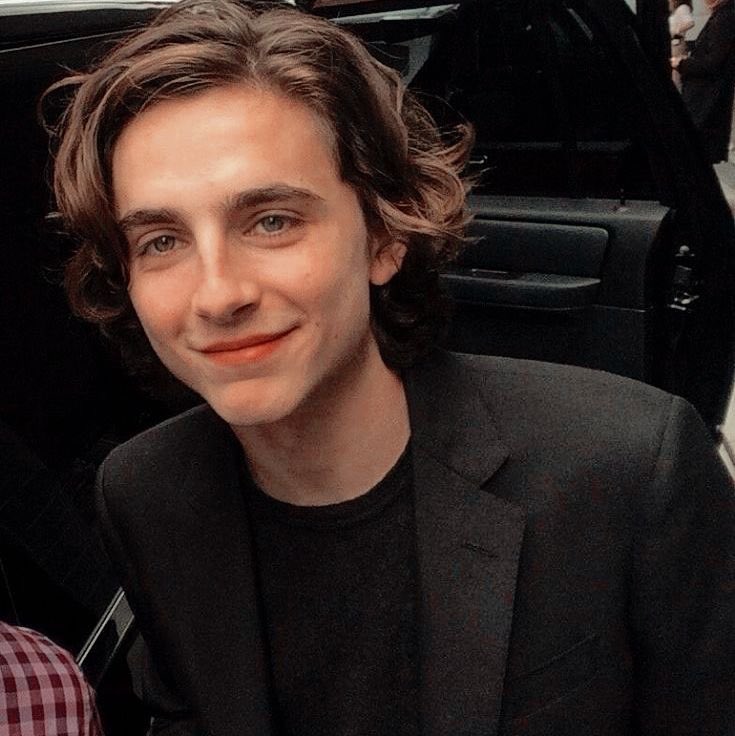 luke hemmings as timothée chalamet: a thread