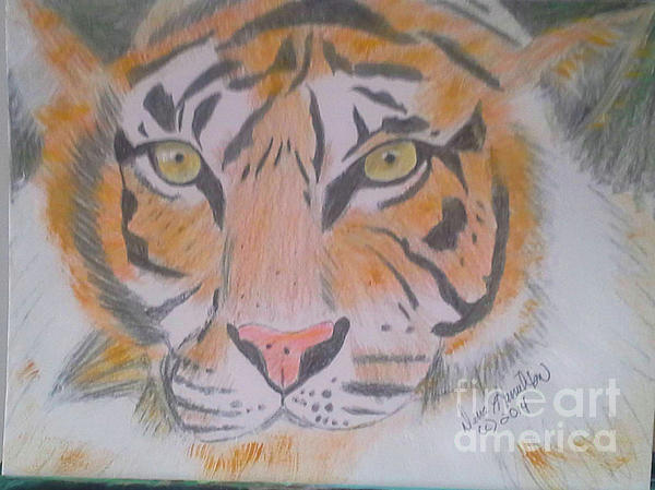 New artwork for sale! - "Tiger Drawing" - fineartamerica.com/featured/tiger… <a href="/fineartamerica/">Fine Art America</a>