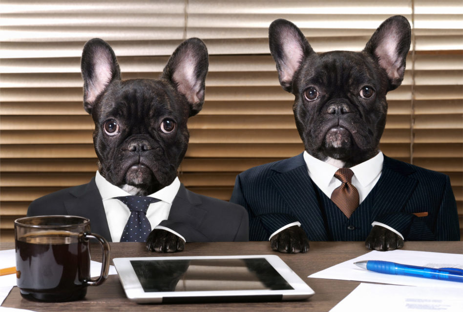 linkformacion's tweet photo. Ante este escenario, se han generalizado las entrevistas de trabajo online. En este artículo encuentra unos buenos consejos sobre qué hacer y qué no hacer en una entrevista de trabajo telemática: 💼 https://t.co/DqQbwiRVnO 🌐

- #DesarrolloProfesional - 
vía @juanjomarle
#cursos https://t.co/Mew9agXCUq