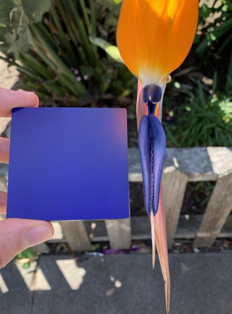 Cypris Materials tweet media