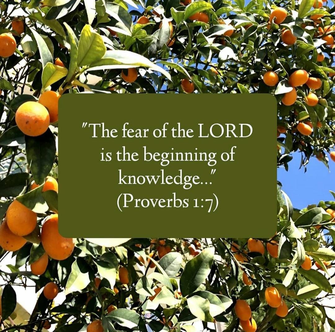 In order to come to a true understanding reality, we must begin with the fear of the LORD. Though the word of God teaches that all men possess some knowledge of the true God, we read in the book of Romans that, because of our sinful rebellion against God,