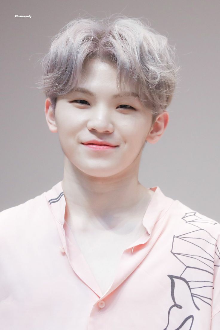 His smile is one of the bests #Wooziverse  @pledis_17  #SEVENTEEN