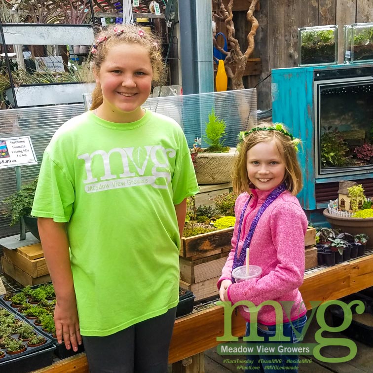 Meadow_View's tweet photo. On Wednesday April 22nd 8 am-9:30 am, parents are invited to drive up to MVG and receive 3 FREE starter plants per school age student. 

This is just one way we are trying to help students at home learn about gardening.

For more info please visit https://t.co/zcuMsLbBYd https://t.co/aDAOHqvm1z