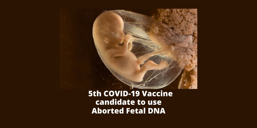 Merck joins Univ of Oxford &amp; Jenner Institute for COVID-19 vaccine using aborted fetal DNA; HEK293 kidney cells from an abortion. Human trials to begin immediately.  #COVID19 #COVID19Vaccine

telegraph.co.uk/global-health/…