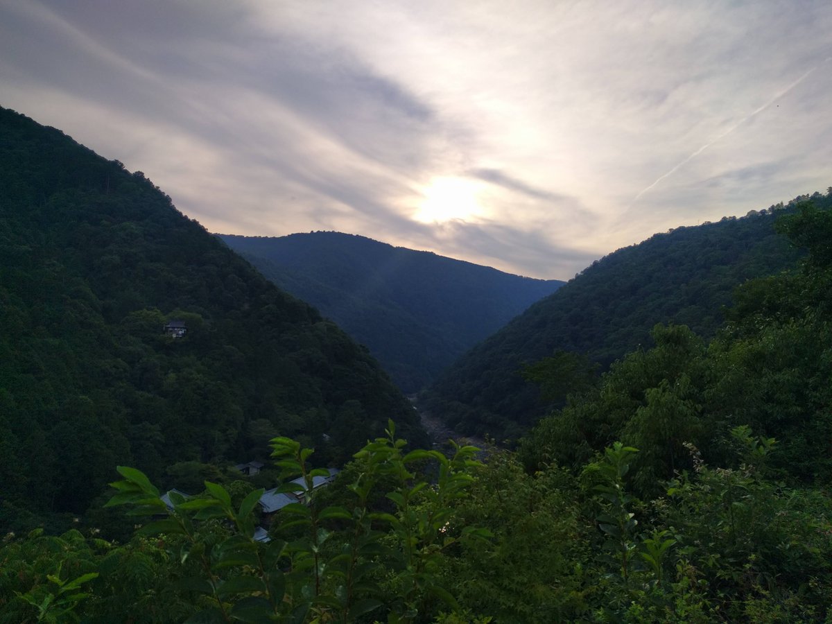 Daniel Serrano tweet media