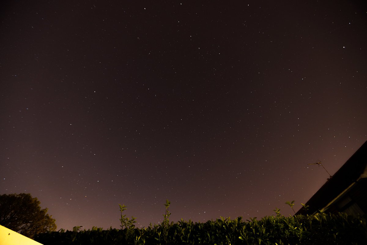 frantasbliss's tweet photo. go out and watch the stars/satellites/meteors!! they're incredible, my photographs don't do it justice ☄️✨ #stargazing #Starlink https://t.co/ZO5et9z0lu