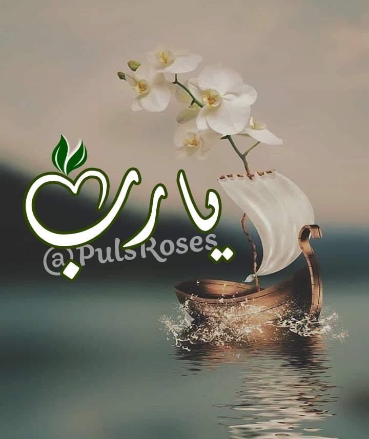 🕊أخبروا قلوبكم الهادئة 💞
أن يوماً ما وفي مكان ما سيأتي الفرح إلى قلوبكم و سيحتضنكم كثيراً 
أخبروا أحزانكم 😥أنها ضيوف وستمضي 
وأن الحياة لحظات عابرة