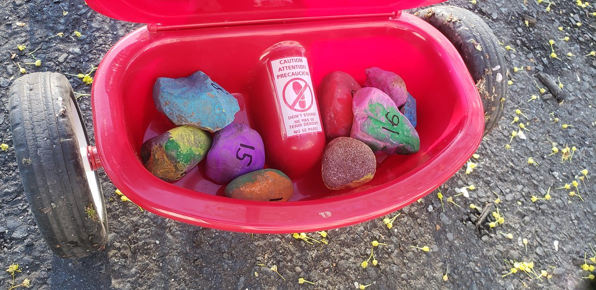 Miller27Time's tweet photo. Time for another rock delivery https://t.co/bzW4bixCgM