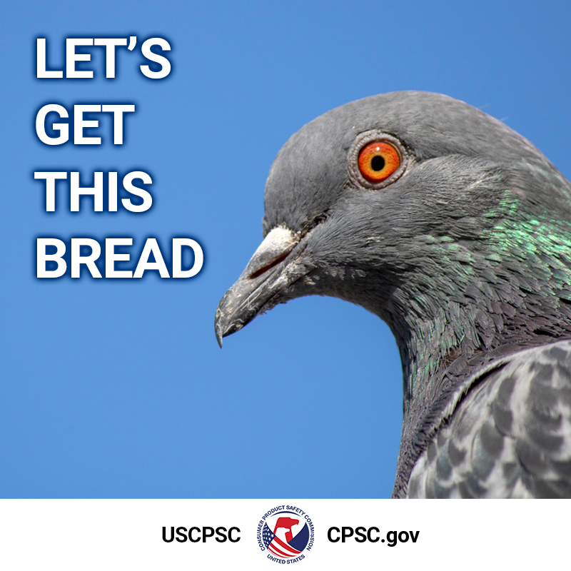 A picture of a pigeon. The text reads: Let's get this bread.