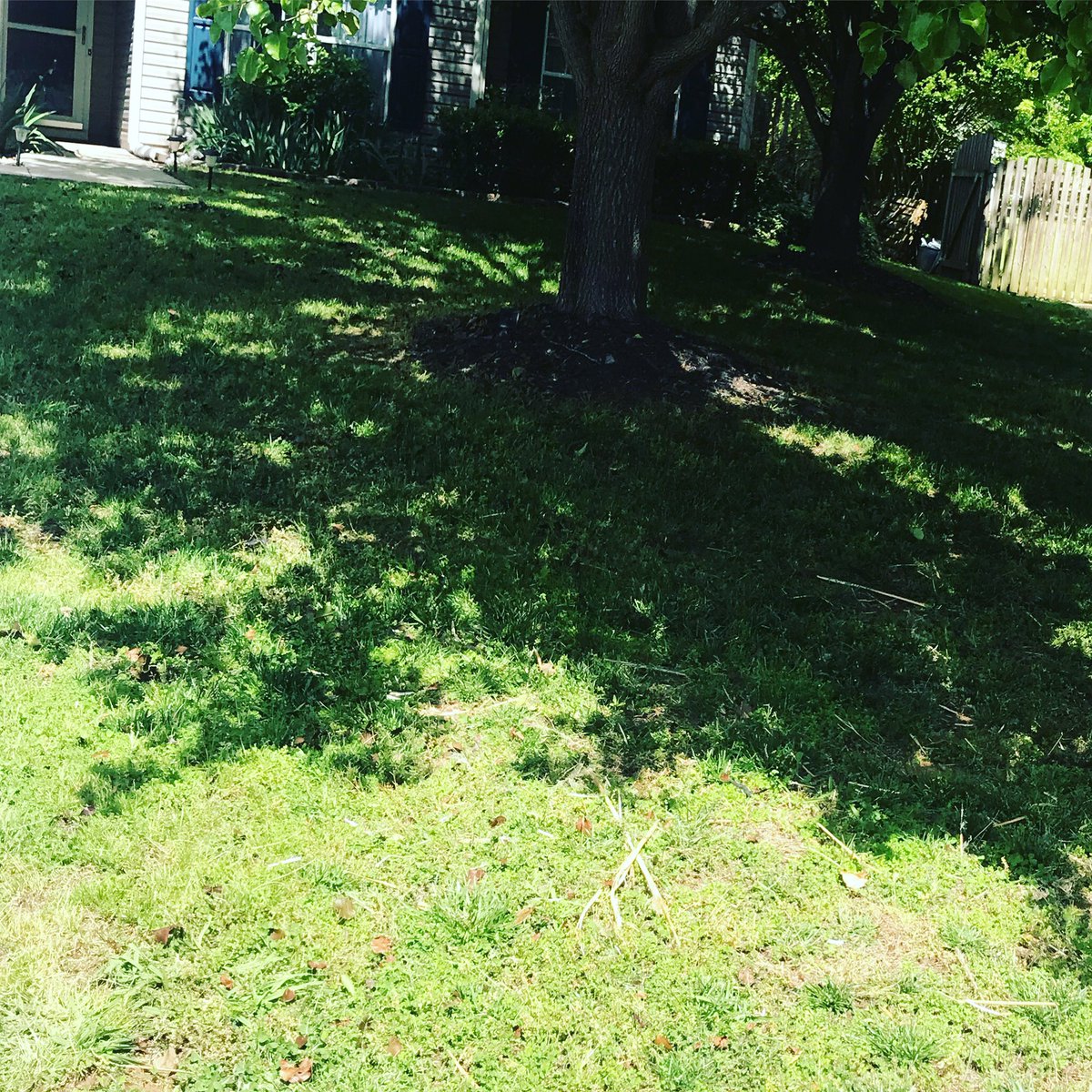 Doing #KodieCuts things! .
.
.
#mowing #weedeating #blowing #edging #stripes #grass #cutting #kodiecutslawnmowing #hardworkpaysoffs #racer #kodieconner #goals #followingmydreams #doingitmyway #husqvarna #lawncareservice