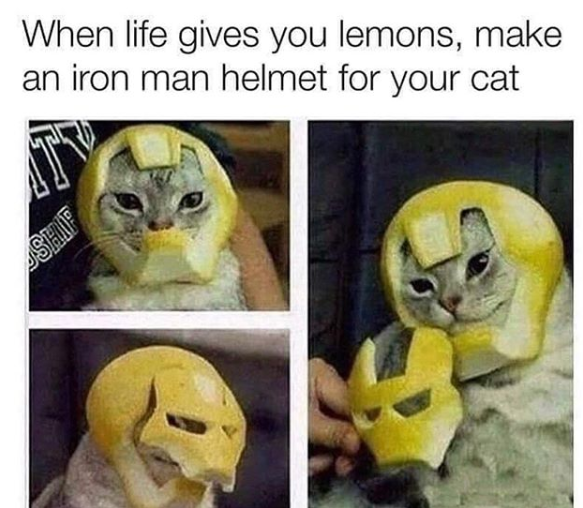 lover_ideas's tweet photo. Tag A Friend Who Should See
Follow @funnycatloverideas for more!
#CatsOfTwitter #catsofinstagramv #catsoftheday #catstyle #funnycatloverideas https://t.co/0fBKCitMml