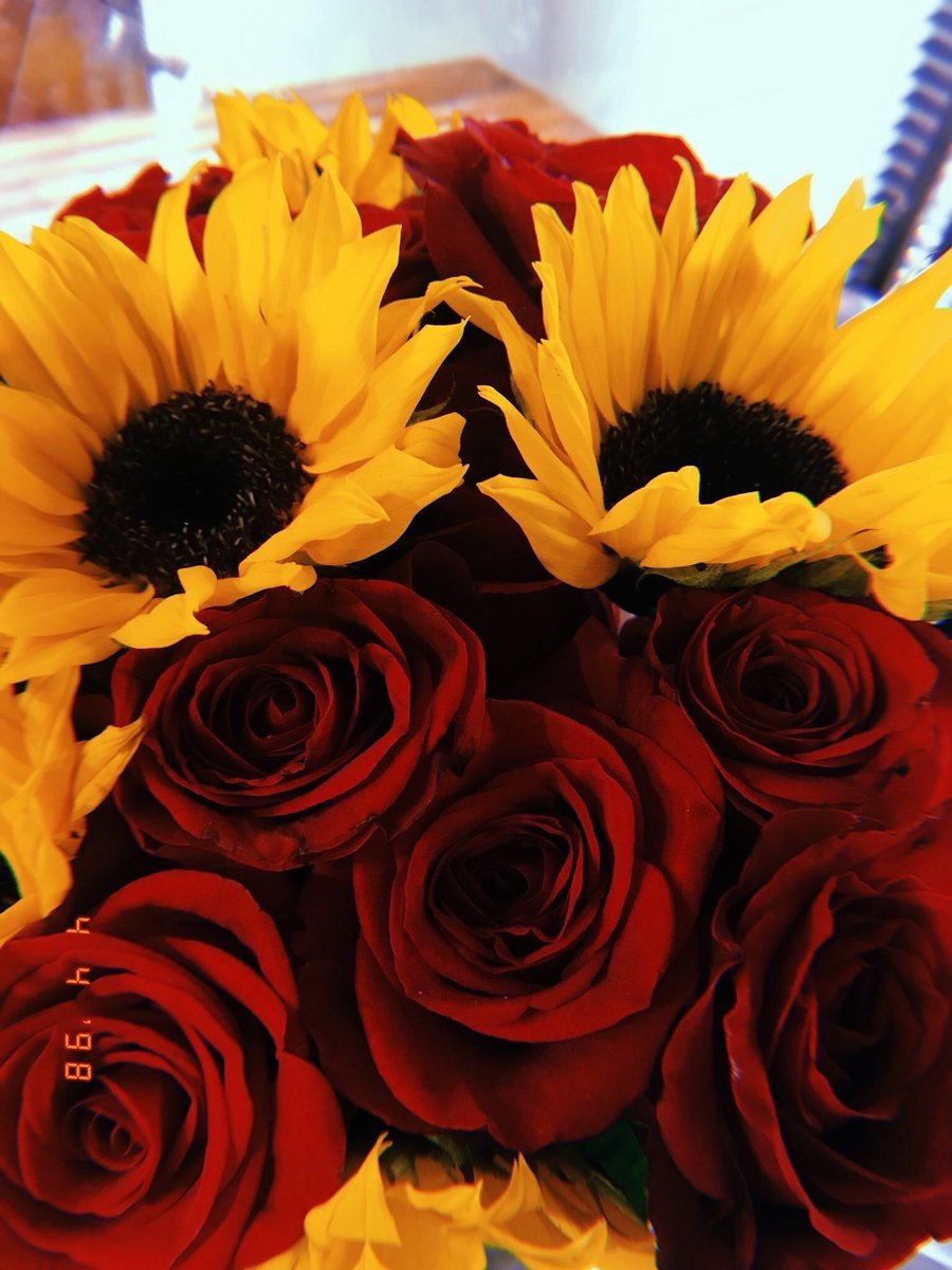 sunflowerlust's tweet photo. no other combination can top sunflowers and roses https://t.co/4JpNbB80X3