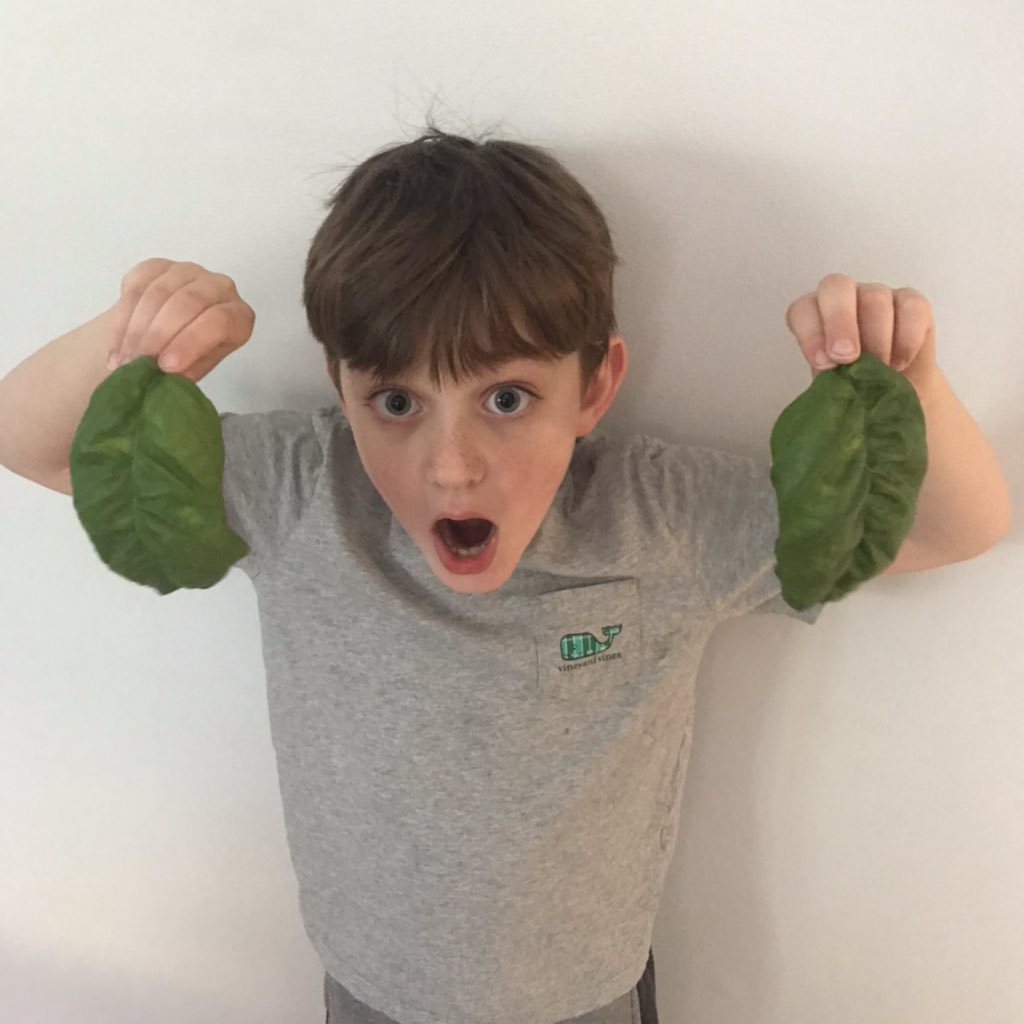 DrHydrogenHC's tweet photo. That time when you were 7 and in #Quarantine and you grow hydroponic basil the size of your hands! What time is it? Time to make Pizza! 🍕#hydroponics #STEMatHome #keepingthemengaged #culinaryscience @HESVerticalFarm https://t.co/z6zjcn1IJX