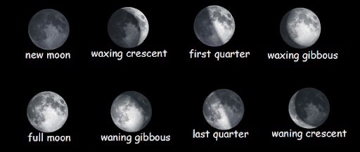9.) recently ive started drawing then with 8 piercings on one ear, which is one for each phase of the moon!