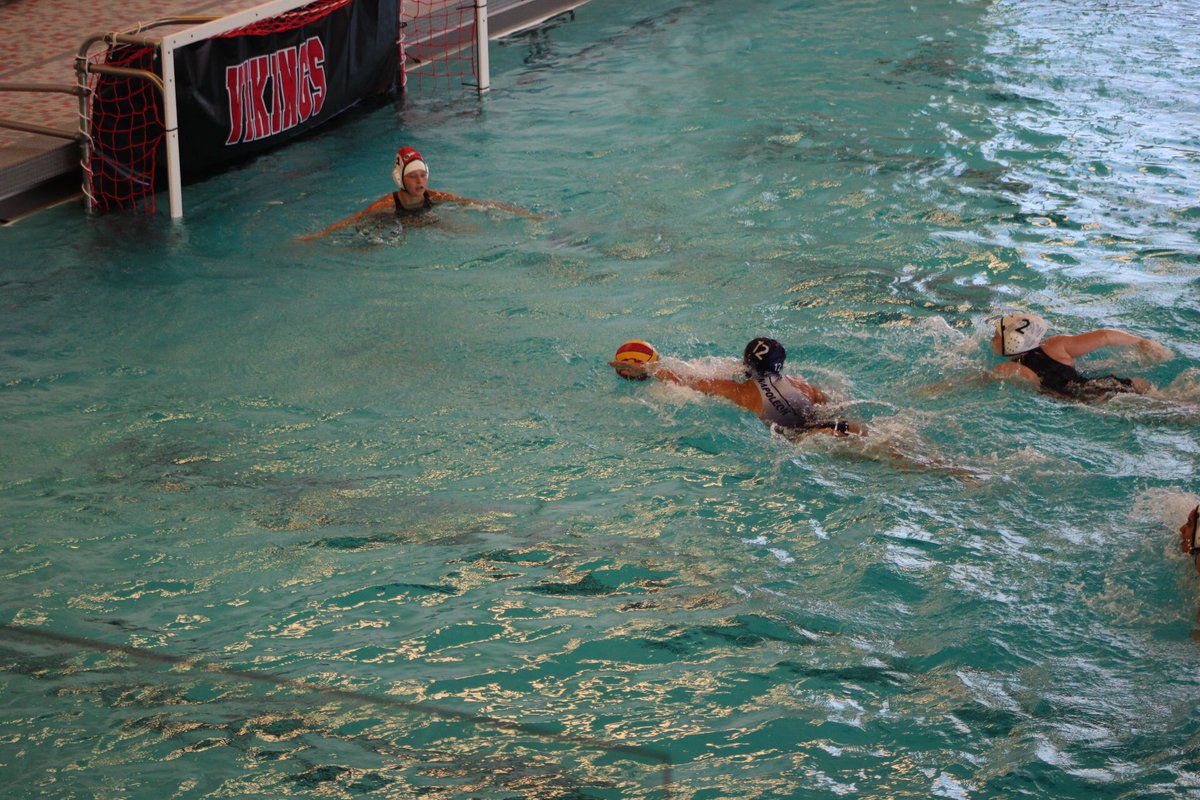 boysel_21's tweet photo. As Urbana university announces their closure I am saddened to say that I need to find a new home. I play water polo and swimming. I do distance and play the 1,5 and 2,4 positions in waterpolo. My recruitment is open. 5’4 and 135lbs! Please contact me if interested!! https://t.co/3UDXM3KoPh