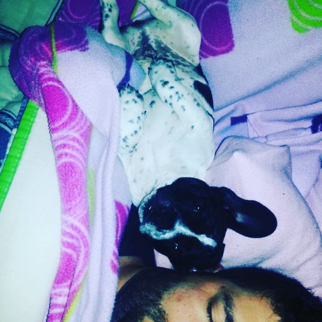 officialdredY's tweet photo. #BALUGOD estou à tua espera campeão!! 
(hospital veterinário do restelo) https://t.co/LcghIvPwxE