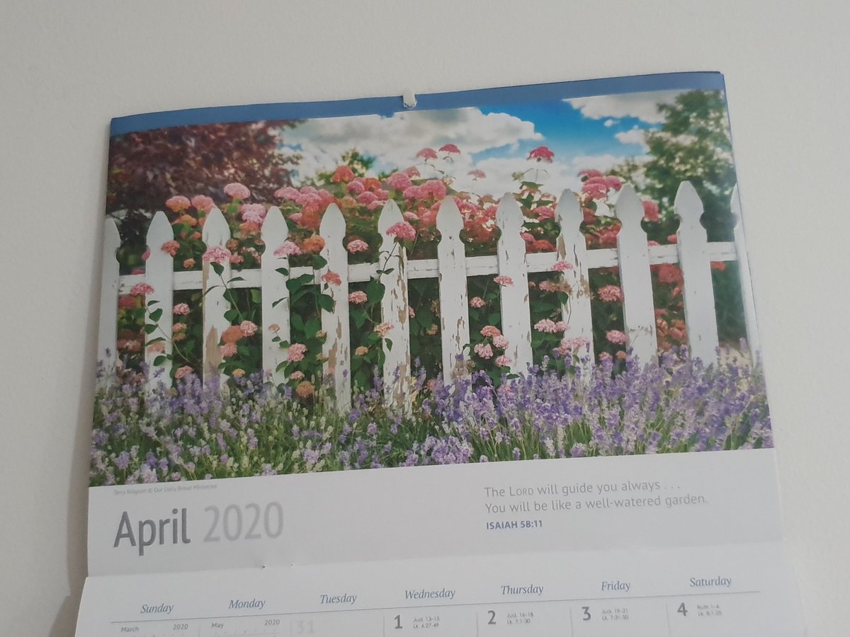 DegrassiHigh2's tweet photo. @alexsohphoto I'm privilege to have a 2020 Our Daily Bread calendar featuring the photos of Alex Soh, Terry Bidgood and Darrell Gulin😃 #Iceland #hydrangeas #alexsoh #terrybidgood #darrellgulin @ourdailybread https://t.co/X9abQL8VXu