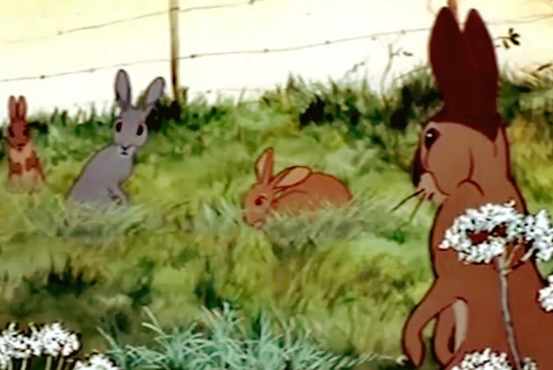 Farthing Wood vs. Watership Down(Multikulti vs Männerbund)I will now illustrate a comparative critique of social organisation ideology and its outcomes:so, we have two animal societies that get wind of impending disaster and must set off to new lands to survive...