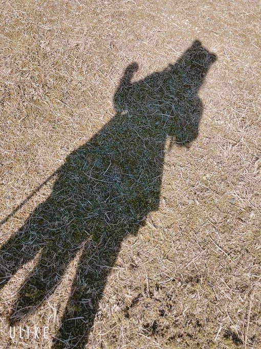 Twitterのコスプレ画像60