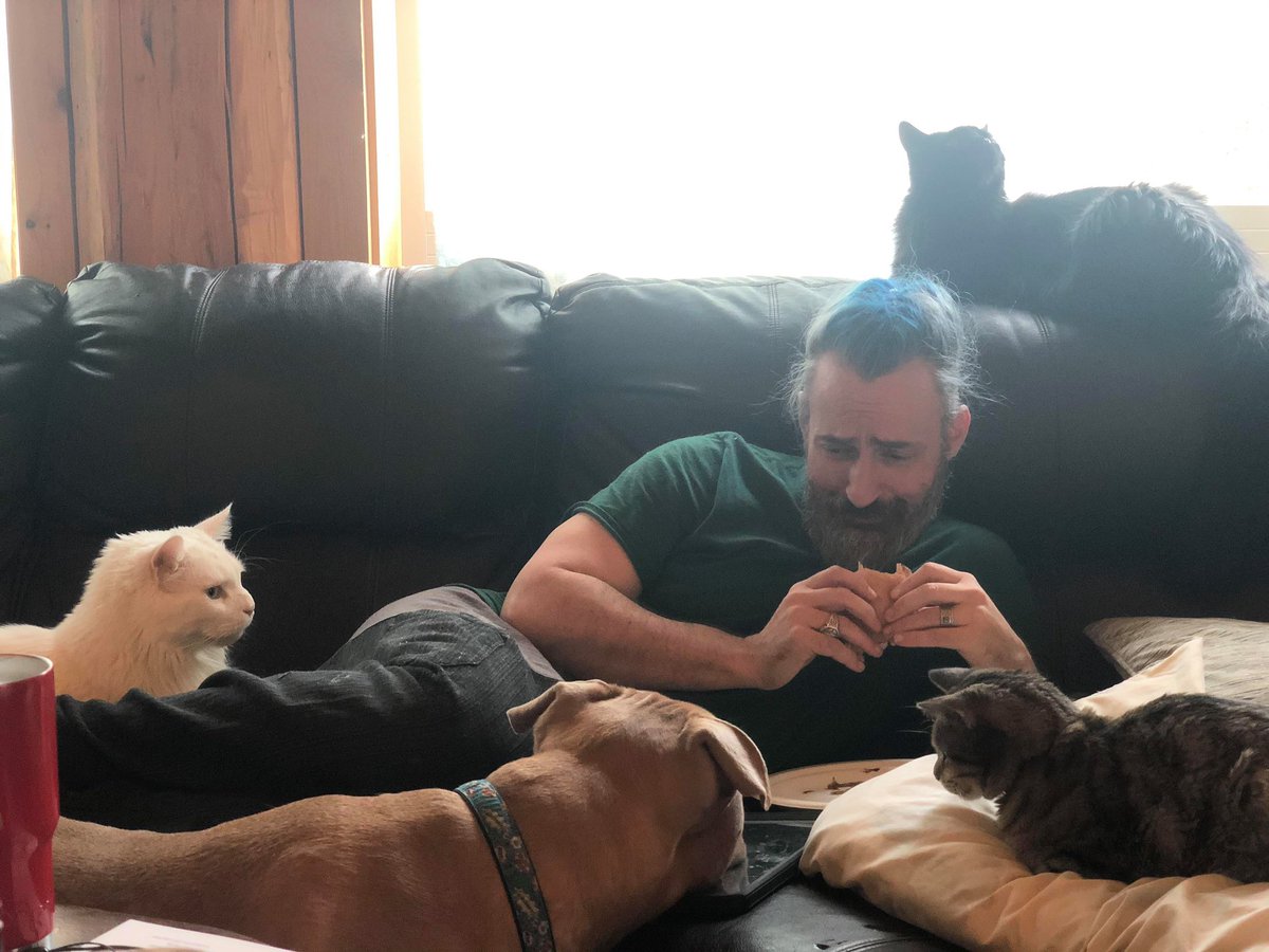 longshotauthor's tweet photo. In the jungle, predators gather around the weakest link in an effort to secure their next meal:  Bowie, Bru, Fenris, and Mirl is over my shoulder. https://t.co/z6bJcfV2dM