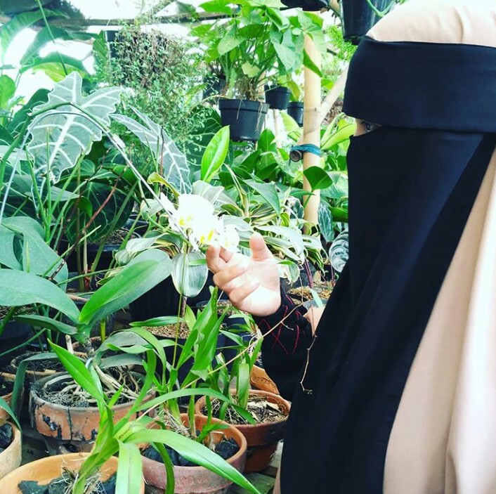 NHirnanda's tweet photo. Anggrek itu indah... https://t.co/tebbc8X0Fa
