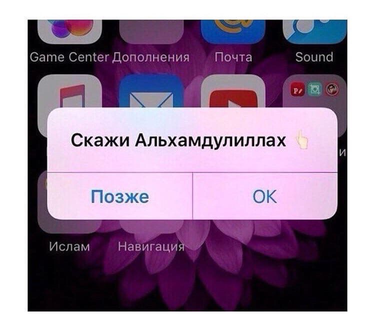 amnikorp's tweet photo. @pitonplutonow https://t.co/bp6bLJMuHa