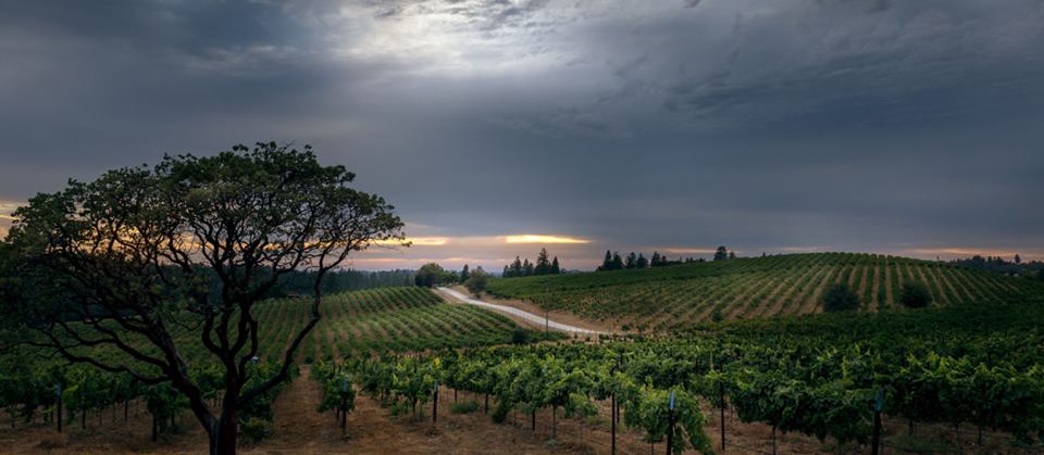 Priority Wine Pass tweet media