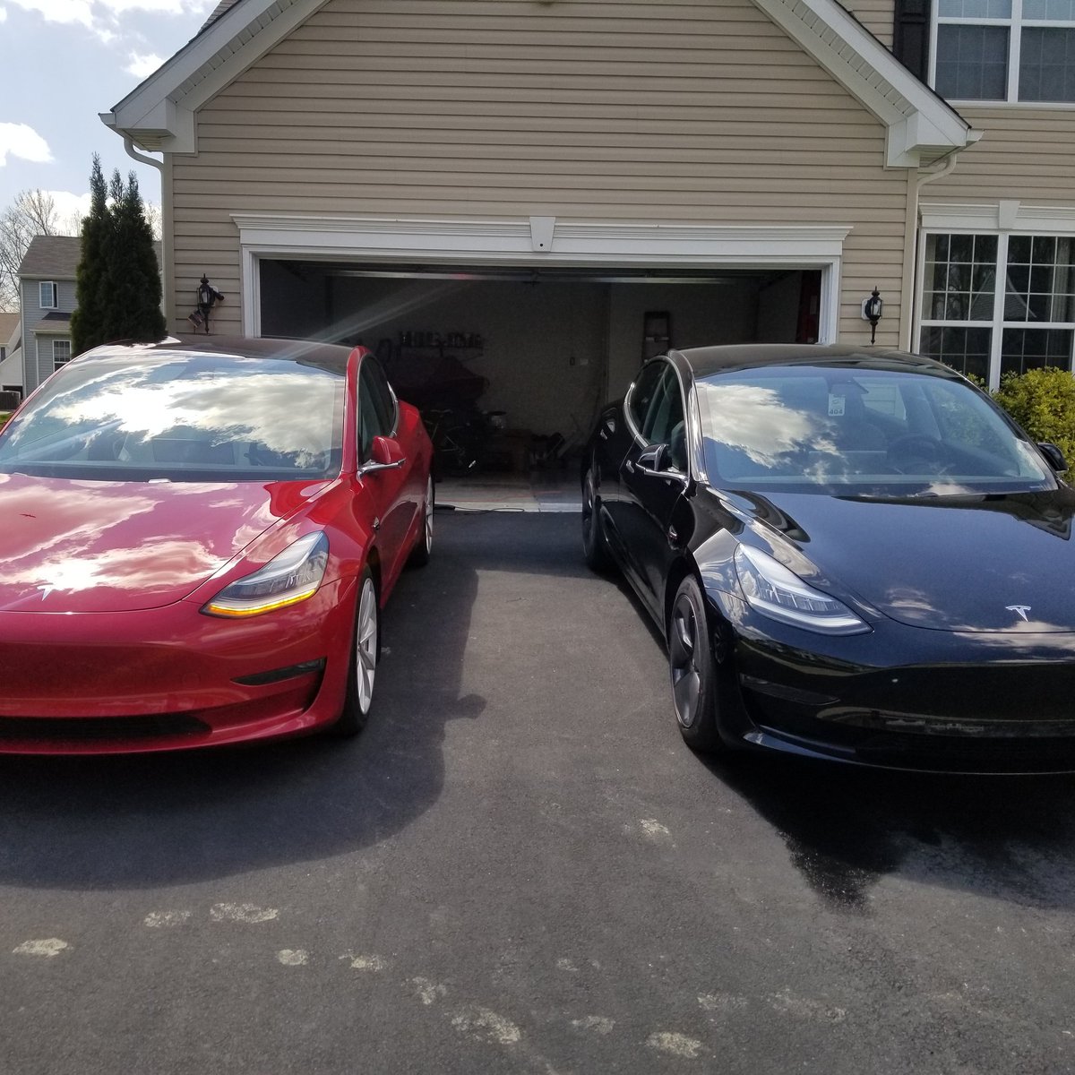 BasedDeer's tweet image. Gang