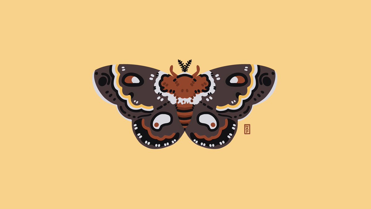 Type Of Brown Moth And Stream