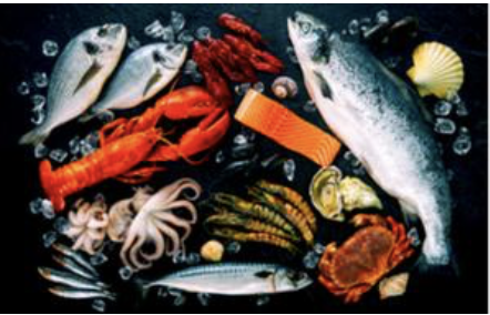 Literate Nation tweet media