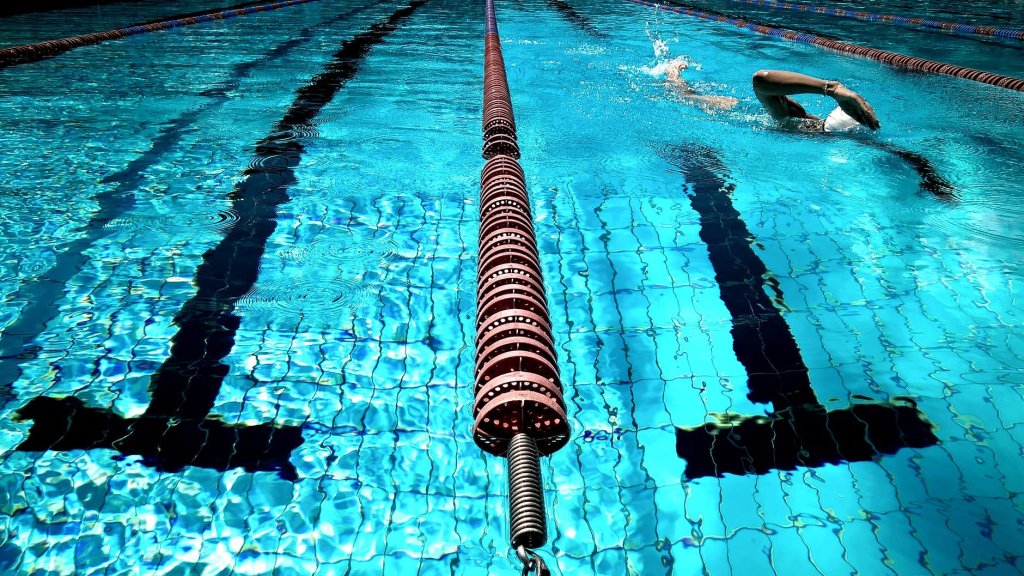 ms_swimming's tweet photo. WVSSAC Officials Needed For Next Season https://t.co/XXtJum2uP2 https://t.co/uzHjU9Kmb7