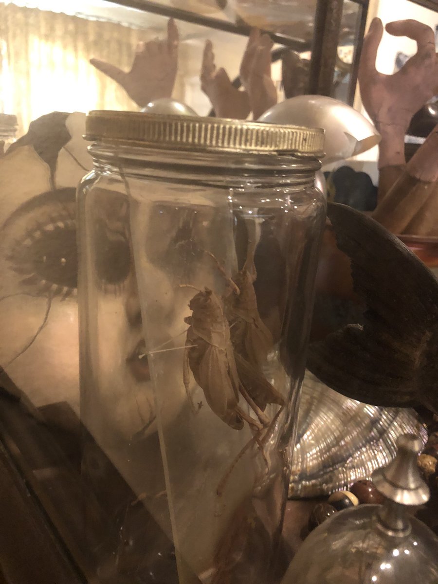 An old jar of locusts from a plague. A face made of leather.