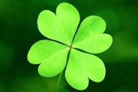 The 4 leaf clover is rare. As rare as those willing to speak the truth.  To me it represents many things, including strength, perseverance, courage & hope. 
I donate my 🍀 to #JulianAssange 
Freedom & truth must always prevail #CloversForAssange 
Pass it on #StopTheExtradition 🍀
