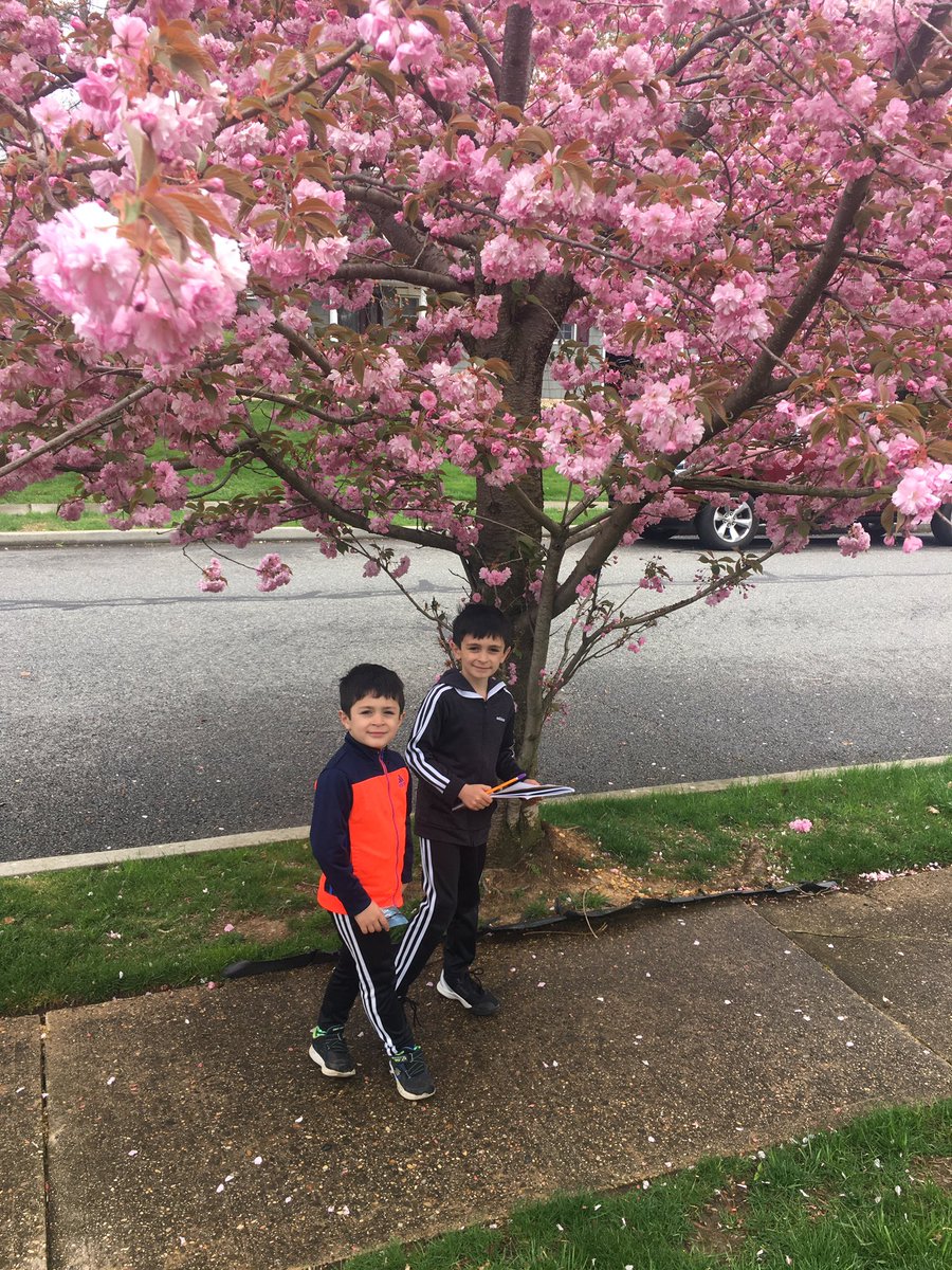 amecono_midis's tweet photo. @MrsA_3rdGrade  Nature Scavenger Hunt before the big storm! https://t.co/g9HXaZ9B4n