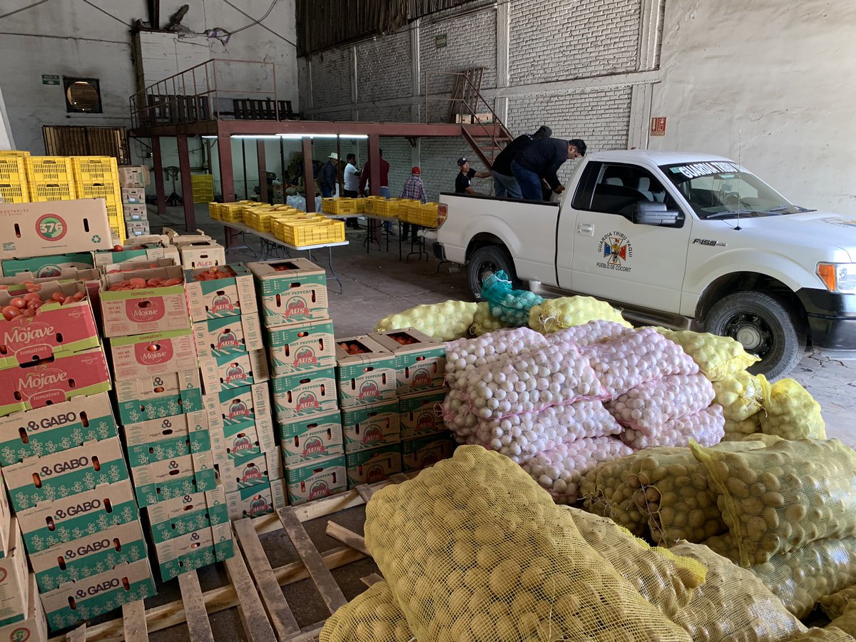agandarag's tweet photo. Satisfactoriamente @APHYM2 a través de sus productores donaremos 400 despensas de 10kg diarias 24,000Kgs de nuestros productos esta semana.

Hoy 200 Desp a Loma de Guamuchil y programadas a Torim, Ráhum, Huírivis y Vicam, 10 Toneladas de alimentos p las comunidades Yaquis https://t.co/YPU7Ba9Yre