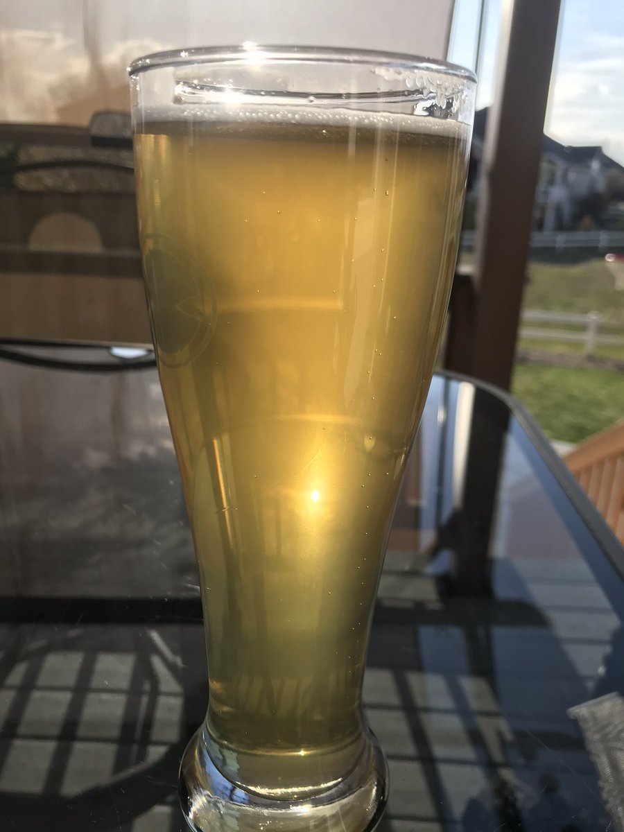 Sisubrewing's tweet photo. My lightest lager to date.  I’ll make this one again @DenverBeerCo I love these glasses #homebrew #lager #CraftBeer https://t.co/LbzXdCe4tt