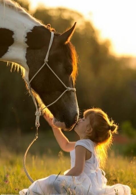 IraisBH's tweet image. #TEAMSTALLION 
 #Ededrive⭐
@_Ededrive_ 
@_AsiQueen_ 
@Olpeko1 
@ZENO_Bella 
@melo_zeno 
@Stallion_Team2 
@ChristineMColby 
@Marcio_tt 
@DarleyR250 
@YNHallak 
@YukariKingdom18 
@kaiok10_uba 
@Annie22462736 
@stryl7 
@drikinhapower 
@biaBDSM 
@nealhailey 
@GMbabuike 
@Marcio_tt