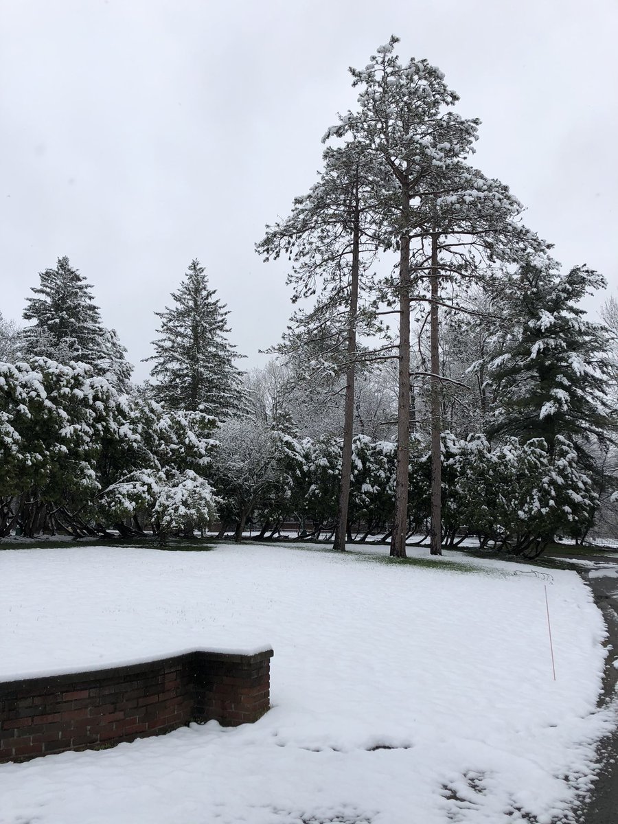 Okay I accept the challenge by <a href="/masi_zachary/">zachary masi</a> #mylifeinpictures Day 1/7...  April in Upstate NY 🤦🏻‍♂️ I challenge <a href="/ImagingDoctor/">Dana Dunleavy, MD</a>  rules: no words, no people