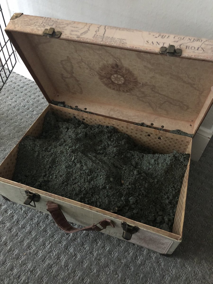 A suitcase full of graveyard dirt.