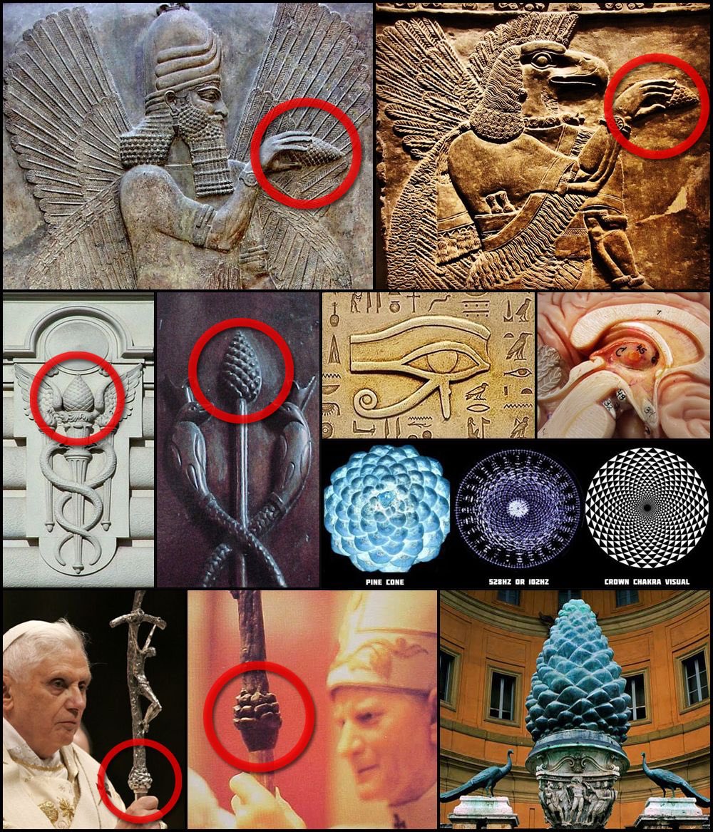 The pineal gland is named pineal because it is shaped like a pine cone. Now notice the pine cone symbolisms in ancient cultures.