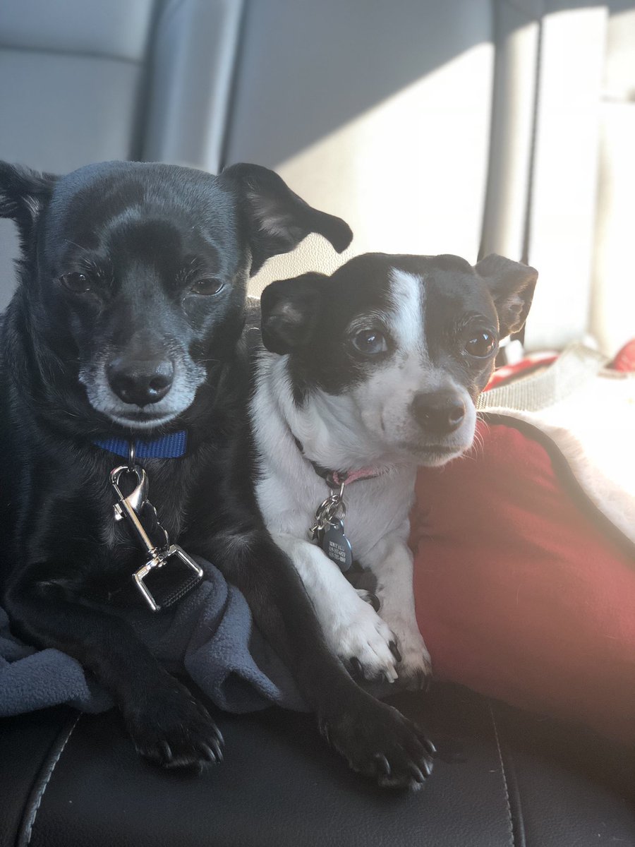 David “Durskii” Wahl tweet media