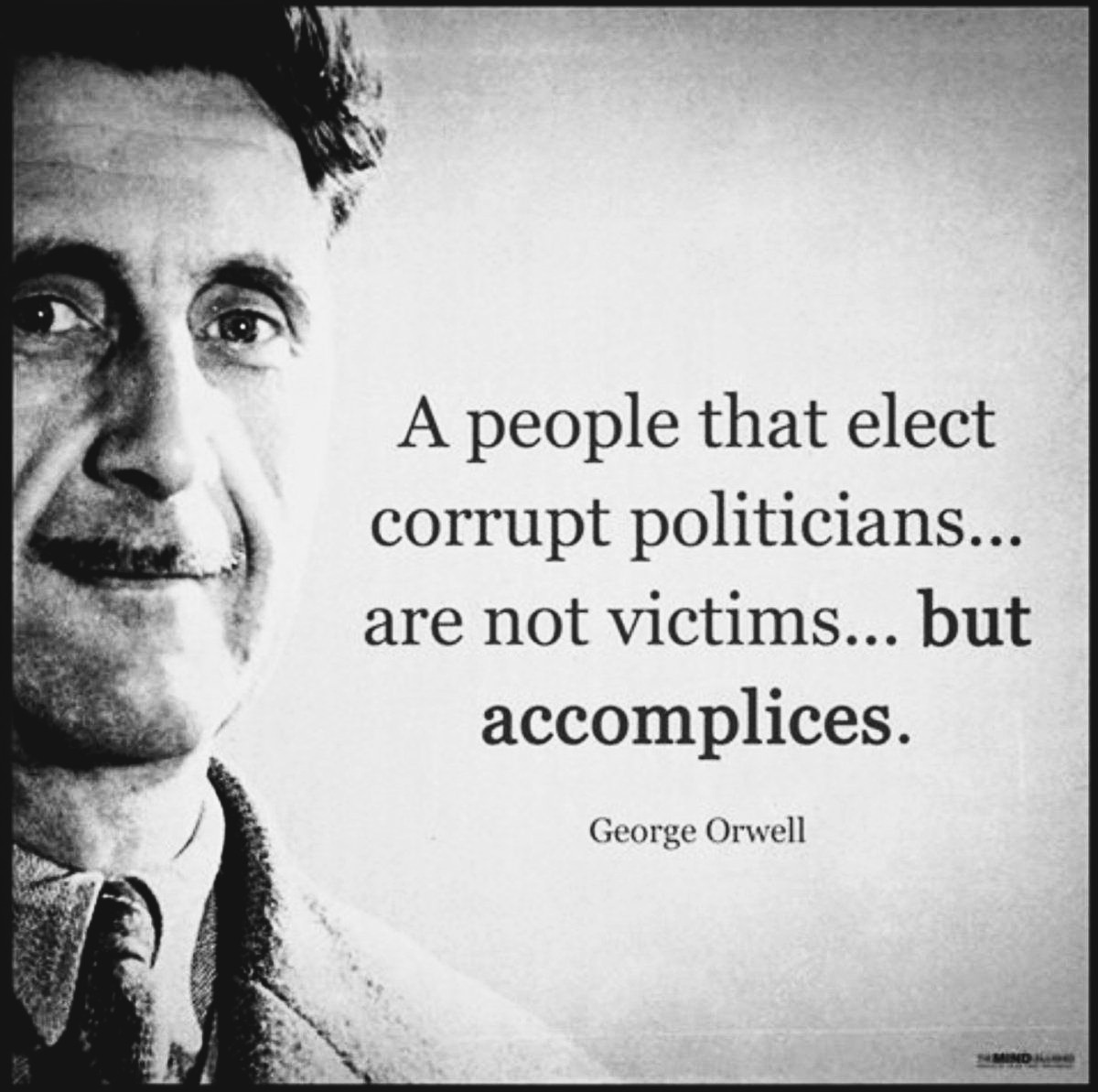 AgpgbgdgAlan's tweet photo. @JStein_WaPo #RealizeTheTruth #DemocRatsBeingRepublicans #StopVotingCorruption https://t.co/Ptke4wrvcR