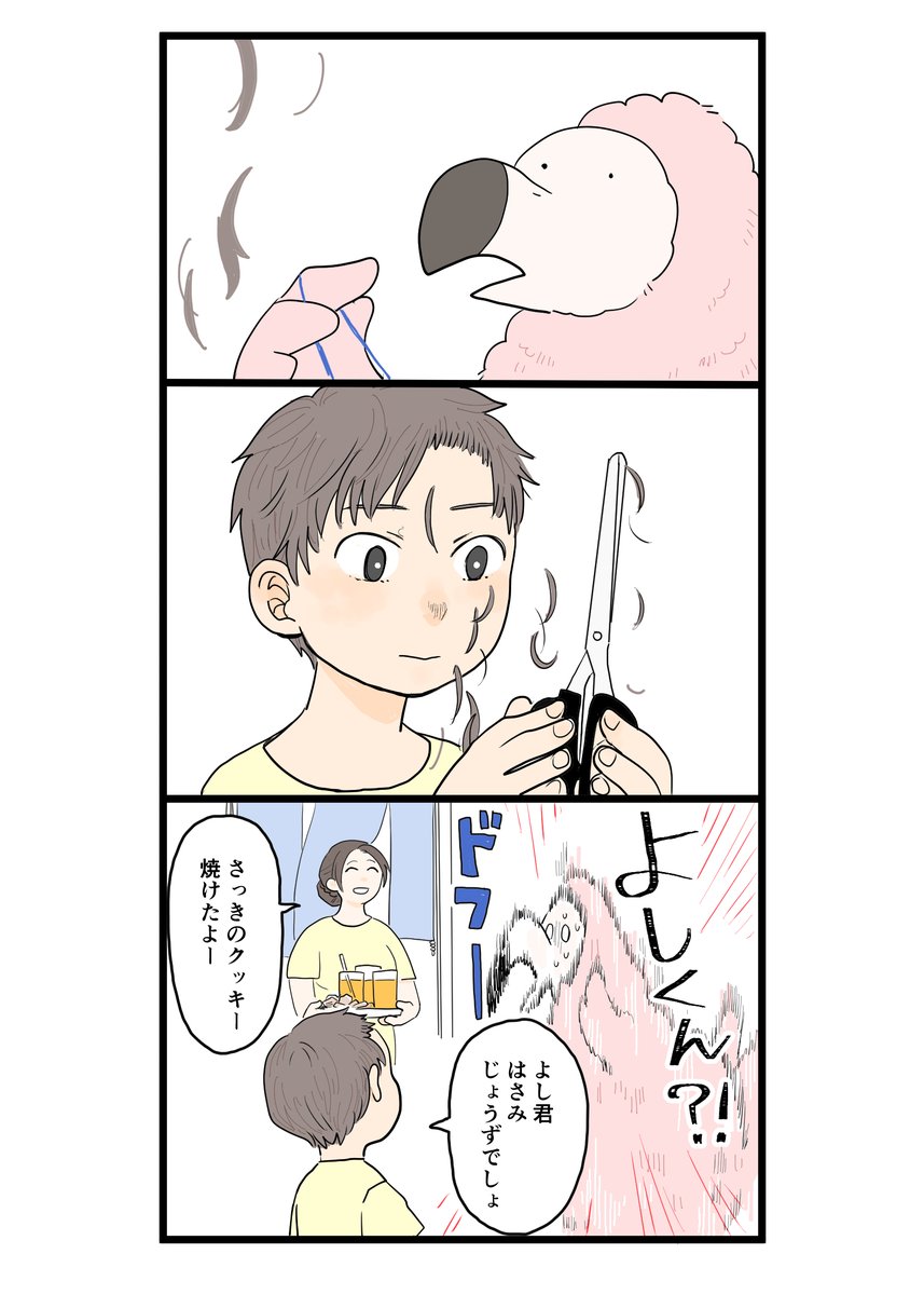 4歳児とドードー鳥
#奥さまはドードー鳥 