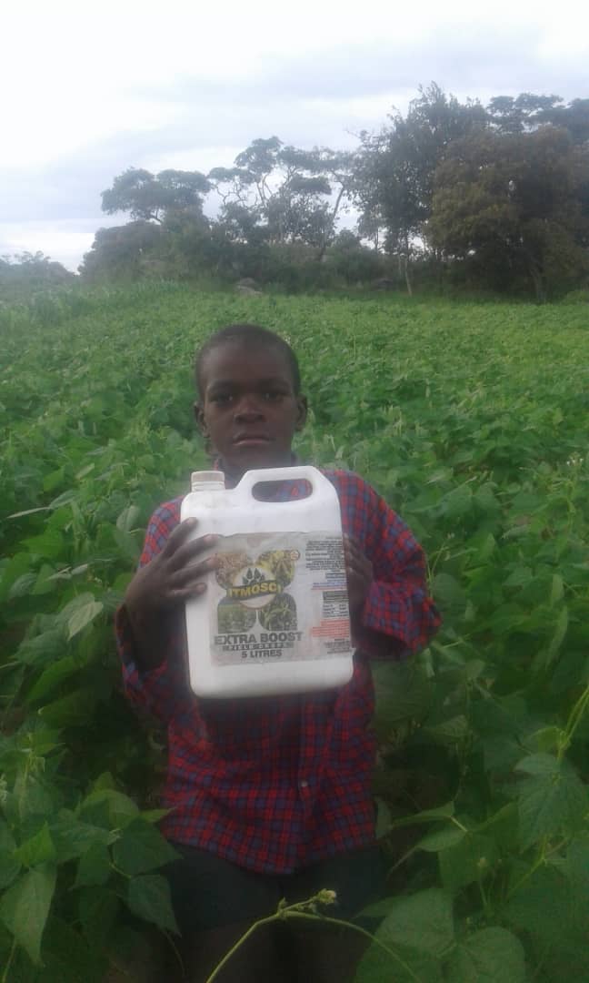 ItmosciFert's tweet photo. "Teach a child the way he should grow and he shall follow it" @ItmosciFert #ExtraBoostFertilizer For generations to come! @zfu_official @CynthiaTapera @rarecrayfarms @Cava_RISE @AgritexS @MoLARR_Zim https://t.co/IbLPfpglJb