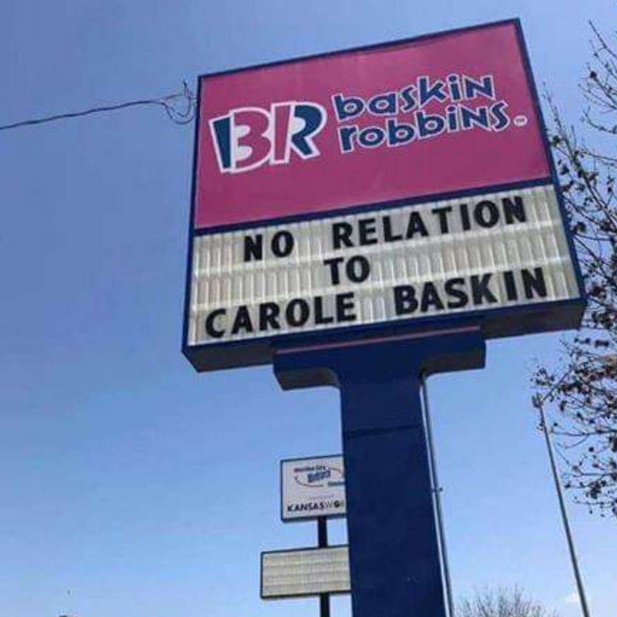 cameronblake's tweet photo. We need @BaskinRobbins to stop hiding their relation to Carole Baskin and just give us Tiger King flavors of the month. I mean who doesn’t want Golden Nuggets surprise, Spoiled Walmart meat, or some Here Kitty Kitty with sprinkles? https://t.co/bGPrZnWjJA