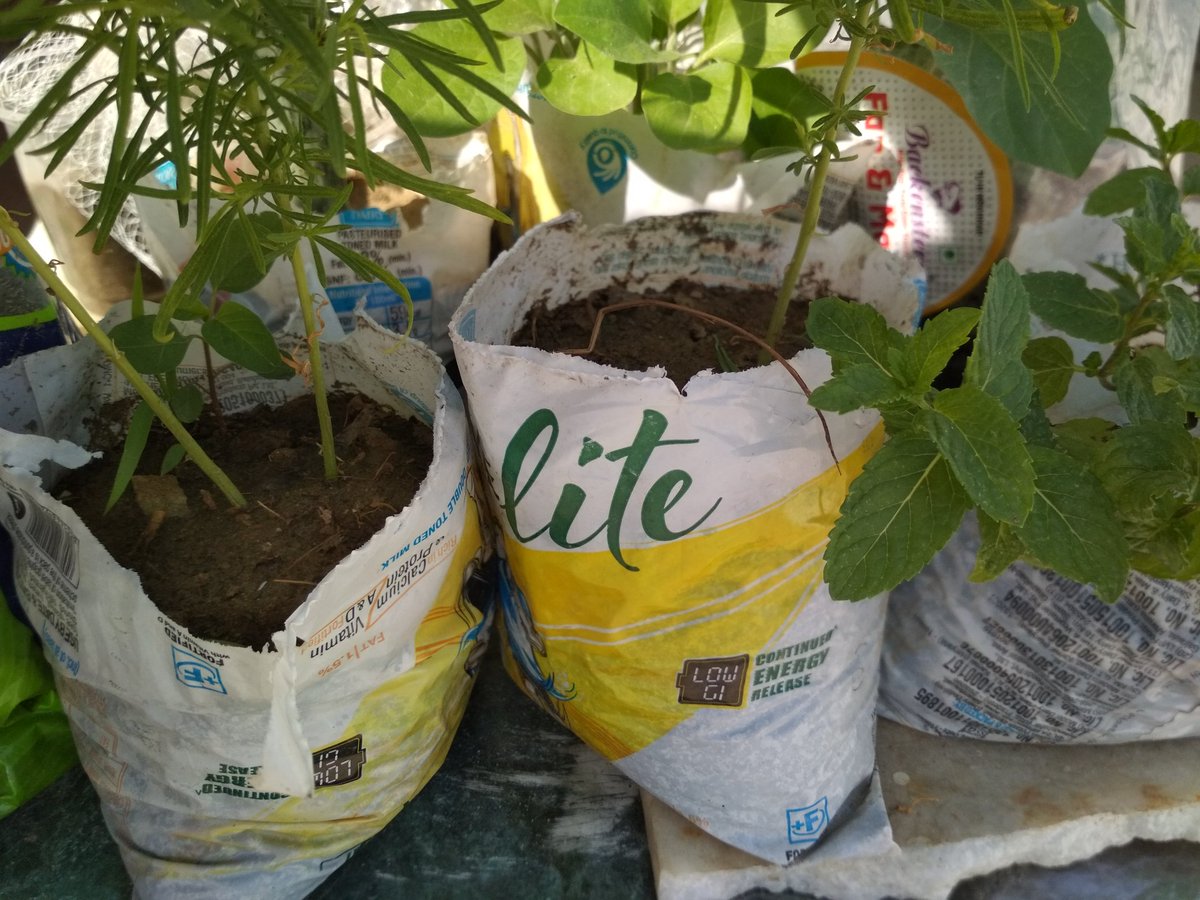 Aartee01's tweet photo. @saint_gobain_in Done DM
Dear Admin You doing a great work
#ReuseToRestore it helps to protect the environment by reducing the Air and water pollution
@saint_gobain_in
Tagging
@piyu
@_aarava
@hellolalit
@eramit_ranjan
@prachimana
@seemaar08225439 https://t.co/pFCeYtu8Zp