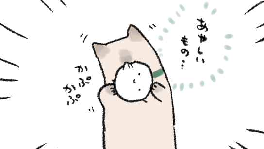 なんか…「しろくてまるいののお宅訪問」みたいな…うれしい…しませんせいありがとう… 